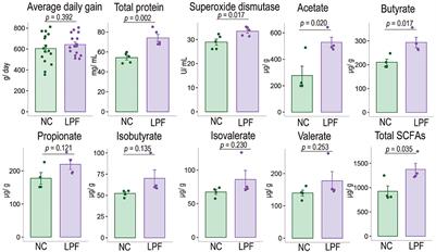 Effects of Lactobacillus plantarum and Pediococcus acidilactici co-fermented feed on growth performance and gut microbiota of nursery pigs